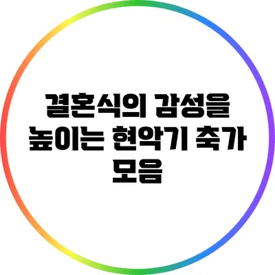 결혼식의 감성을 높이는 현악기 축가 모음