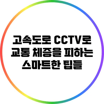 고속도로 CCTV로 교통 체증을 피하는 스마트한 팁들