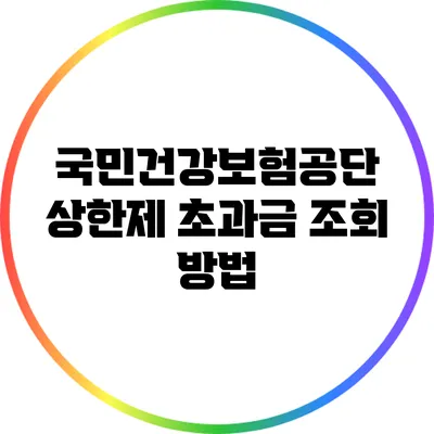 국민건강보험공단 상한제 초과금 조회 방법