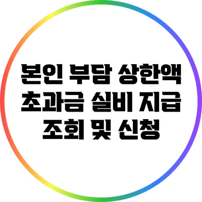 본인 부담 상한액 초과금 실비 지급 조회 및 신청
