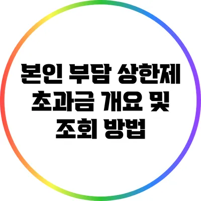 본인 부담 상한제 초과금 개요 및 조회 방법