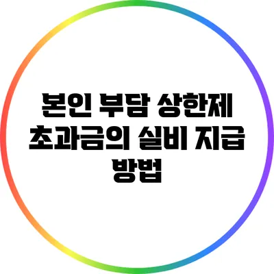 본인 부담 상한제 초과금의 실비 지급 방법