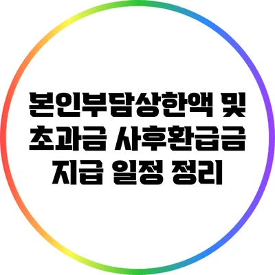 본인부담상한액 및 초과금 사후환급금 지급 일정 정리