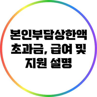 본인부담상한액 초과금, 급여 및 지원 설명