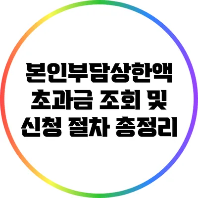 본인부담상한액 초과금 조회 및 신청 절차 총정리