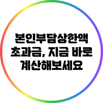 본인부담상한액 초과금, 지금 바로 계산해보세요