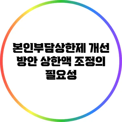 본인부담상한제 개선 방안: 상한액 조정의 필요성