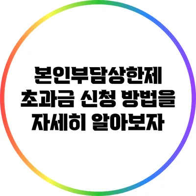 본인부담상한제 초과금 신청 방법을 자세히 알아보자