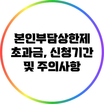 본인부담상한제 초과금, 신청기간 및 주의사항