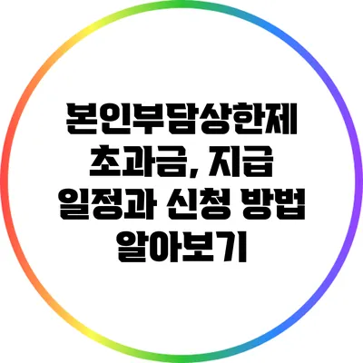본인부담상한제 초과금, 지급 일정과 신청 방법 알아보기