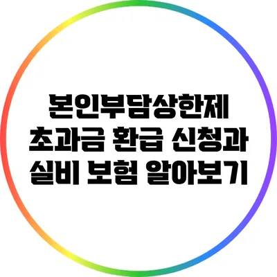 본인부담상한제 초과금 환급 신청과 실비 보험 알아보기