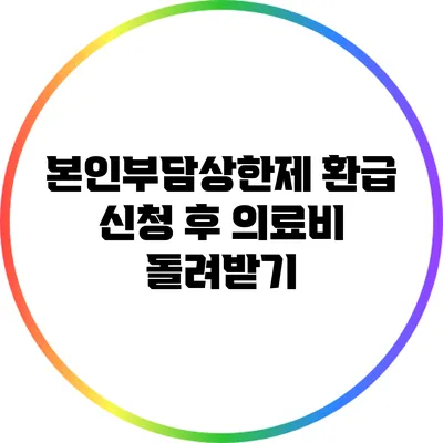 본인부담상한제 환급 신청 후 의료비 돌려받기