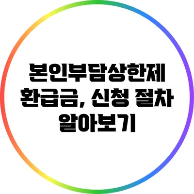 본인부담상한제 환급금, 신청 절차 알아보기