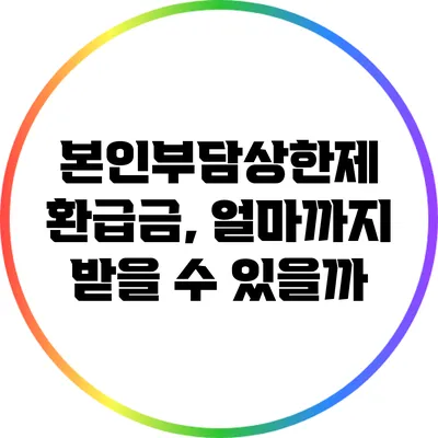 본인부담상한제 환급금, 얼마까지 받을 수 있을까?