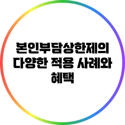 본인부담상한제의 다양한 적용 사례와 혜택