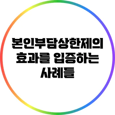 본인부담상한제의 효과를 입증하는 사례들