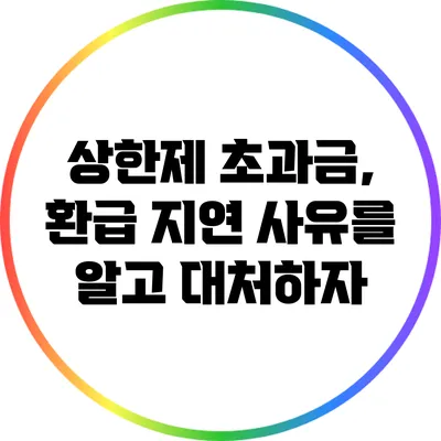상한제 초과금, 환급 지연 사유를 알고 대처하자