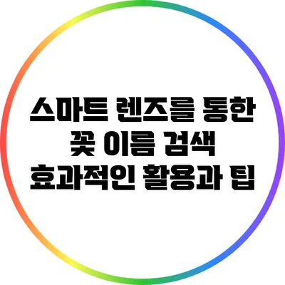 스마트 렌즈를 통한 꽃 이름 검색: 효과적인 활용과 팁