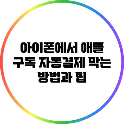 아이폰에서 애플 구독 자동결제 막는 방법과 팁