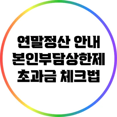 연말정산 안내: 본인부담상한제 초과금 체크법