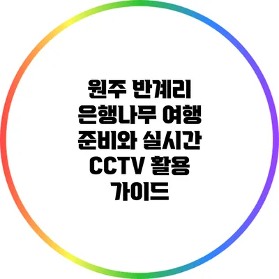 원주 반계리 은행나무 여행 준비와 실시간 CCTV 활용 가이드