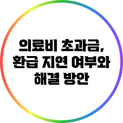 의료비 초과금, 환급 지연 여부와 해결 방안