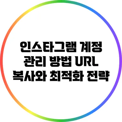 인스타그램 계정 관리 방법: URL 복사와 최적화 전략