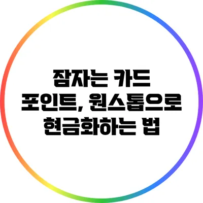 잠자는 카드 포인트, 원스톱으로 현금화하는 법