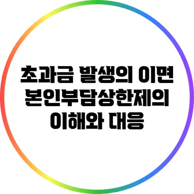 초과금 발생의 이면: 본인부담상한제의 이해와 대응