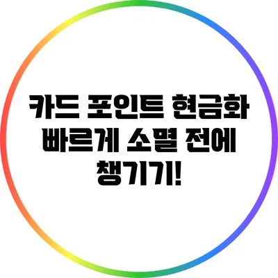 카드 포인트 현금화: 빠르게 소멸 전에 챙기기!