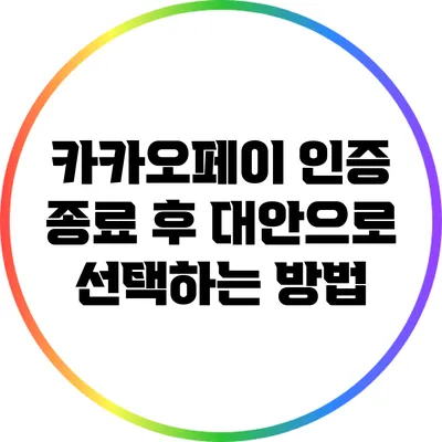 카카오페이 인증 종료 후 대안으로 선택하는 방법