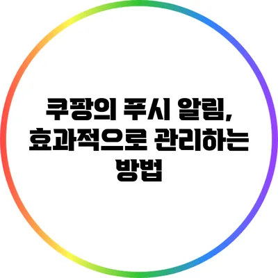 쿠팡의 푸시 알림, 효과적으로 관리하는 방법