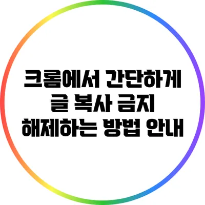 크롬에서 간단하게 글 복사 금지 해제하는 방법 안내