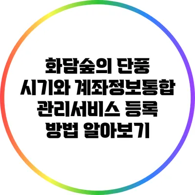 화담숲의 단풍 시기와 계좌정보통합관리서비스 등록 방법 알아보기