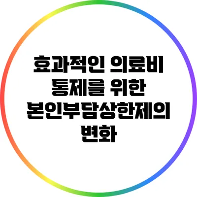 효과적인 의료비 통제를 위한 본인부담상한제의 변화