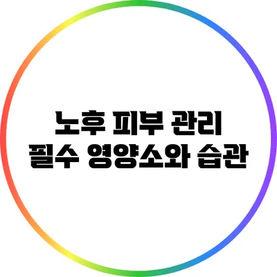 노후 피부 관리: 필수 영양소와 습관