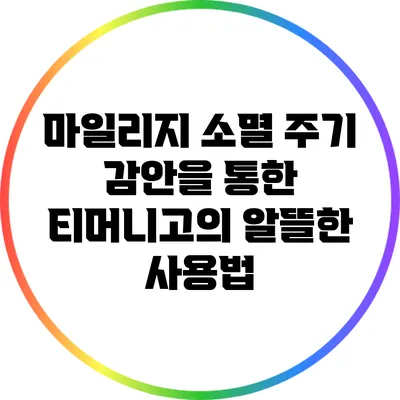 마일리지 소멸 주기 감안을 통한 티머니고의 알뜰한 사용법