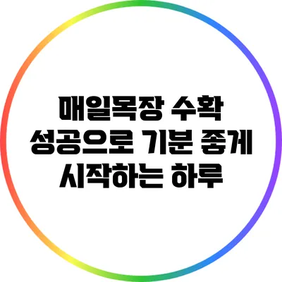 매일목장 수확 성공으로 기분 좋게 시작하는 하루