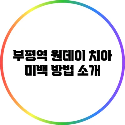 부평역 원데이 치아 미백 방법 소개