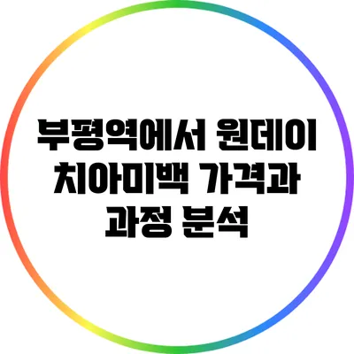 부평역에서 원데이 치아미백 가격과 과정 분석