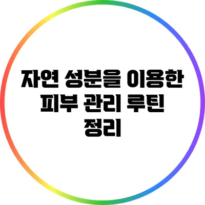 자연 성분을 이용한 피부 관리 루틴 정리