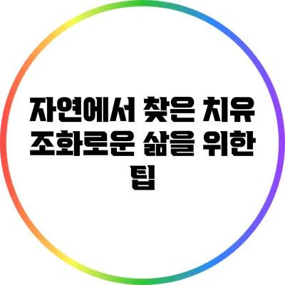 자연에서 찾은 치유: 조화로운 삶을 위한 팁