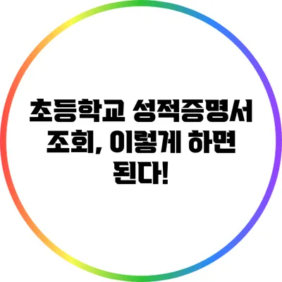초등학교 성적증명서 조회, 이렇게 하면 된다!