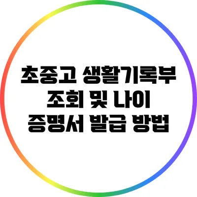 초중고 생활기록부 조회 및 나이 증명서 발급 방법