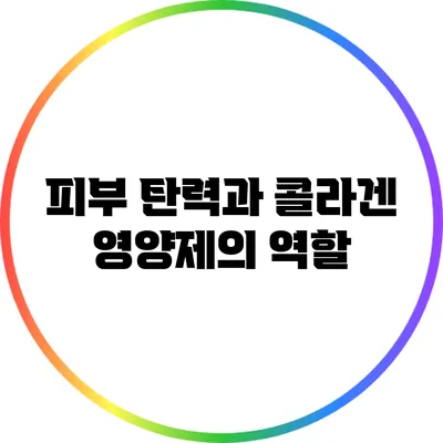 피부 탄력과 콜라겐: 영양제의 역할