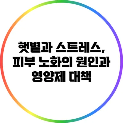 햇볕과 스트레스, 피부 노화의 원인과 영양제 대책