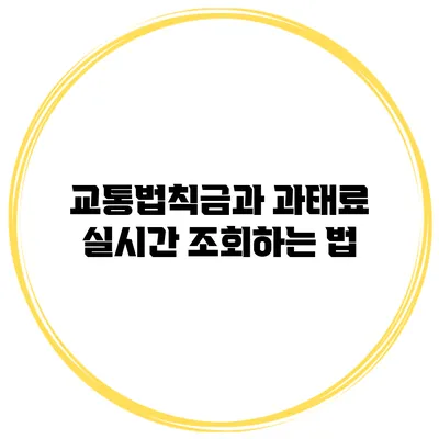 교통법칙금과 과태료 실시간 조회하는 법