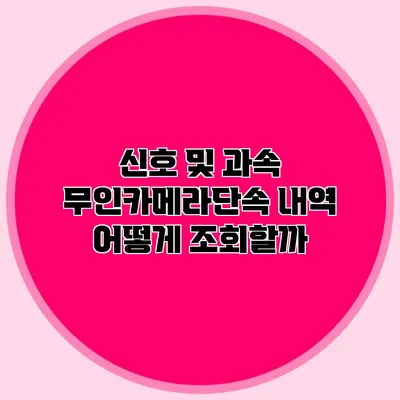 신호 및 과속 무인카메라단속 내역 어떻게 조회할까?