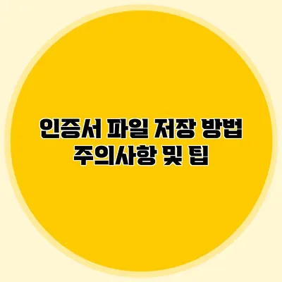 인증서 파일 저장 방법 주의사항 및 팁