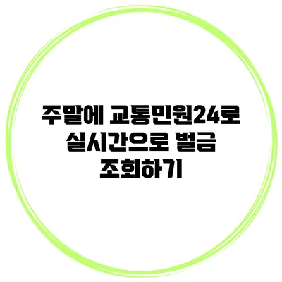 주말에 교통민원24로 실시간으로 벌금 조회하기